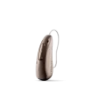 Chestnut