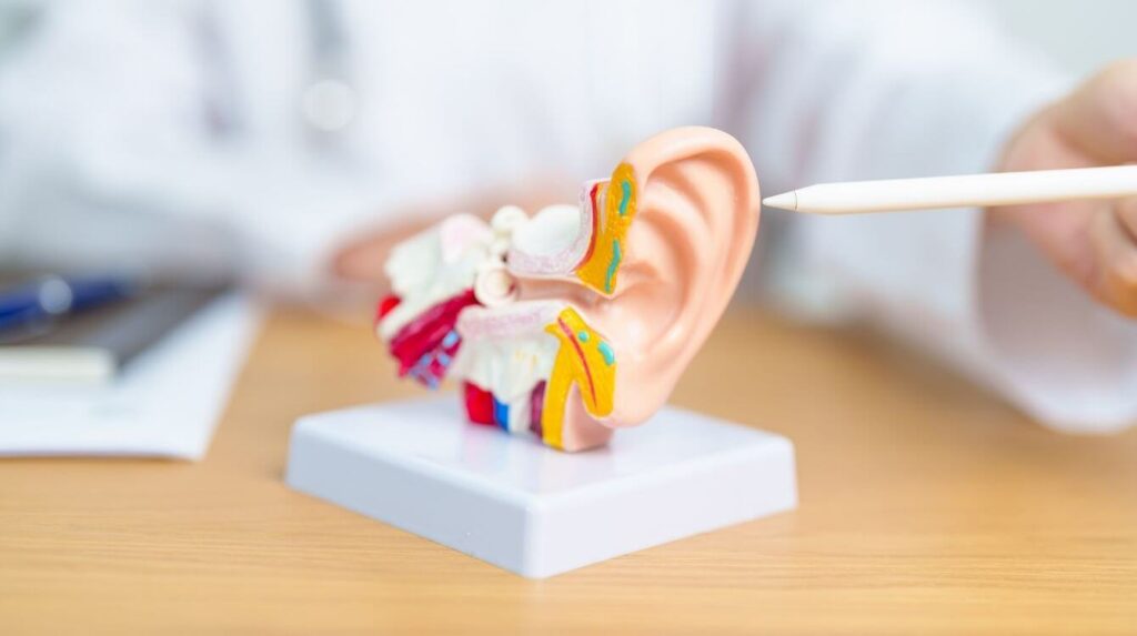 why hearing healthdeserves your attention