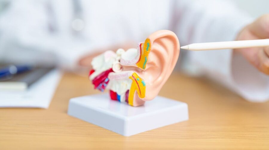 why hearing healthdeserves your attention