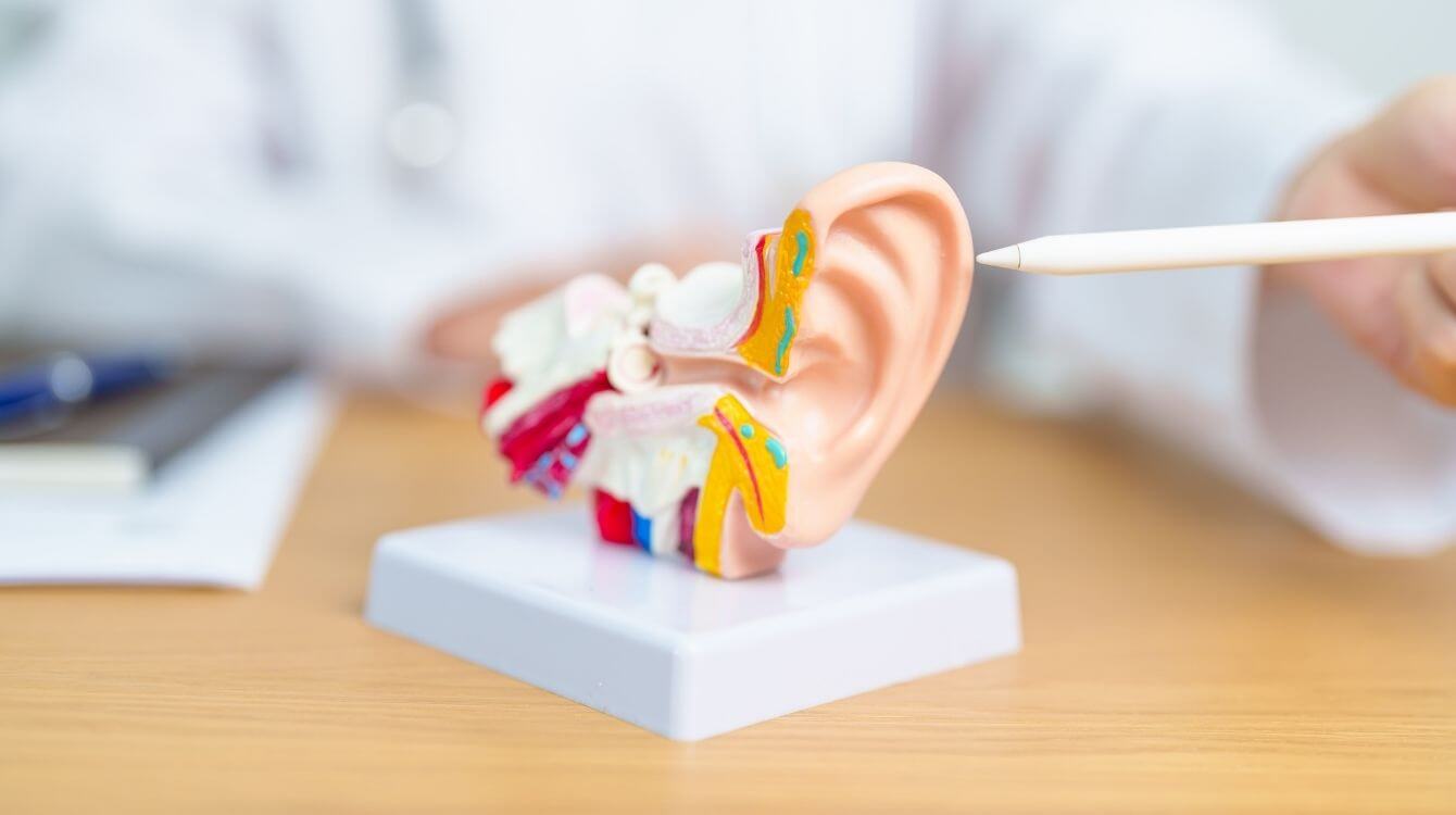 why hearing healthdeserves your attention