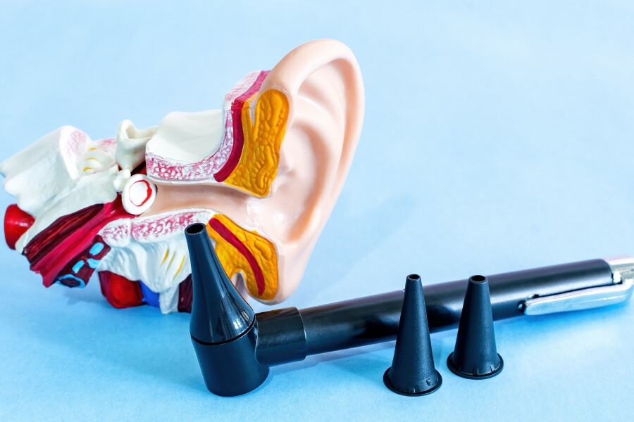hearing assessment covered by nihb