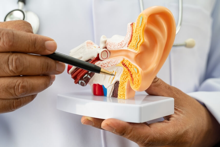 how odsp covers hearing aids how odsp covers hearing aids