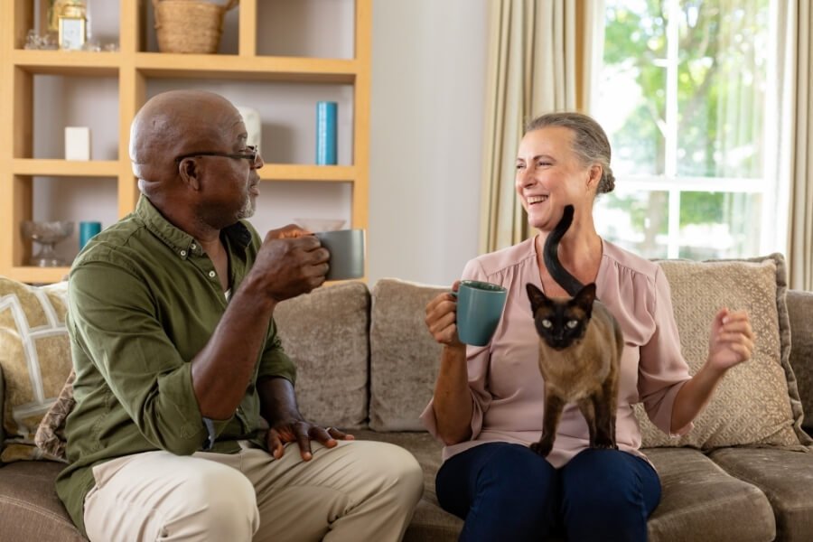 how to maintain your hearing aids